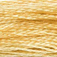 DMC Pearl Cotton, Size 5 Skein - 676