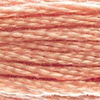 DMC Pearl Cotton, Size 5 Skein - 758