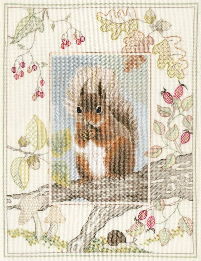Wildlife: Red Squirrel - Cross Stitch Kit