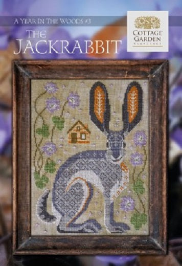A Year In The Woods #3 - The Jackrabbit