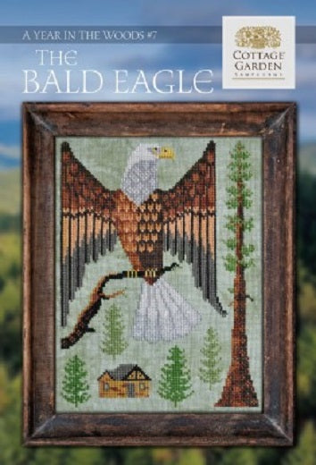 A Year In The Woods #7 - The Bald Eagle