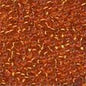 Glass Seed Beads: 02001 - 02099