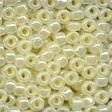 Glass Beads Size 6: 16000 - 16640