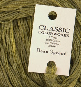 Bean Sprout CCT184