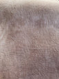 Mani Di Donna, Linen - 36 Count - Burnt Sand