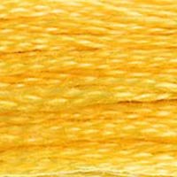 DMC Pearl Cotton, Size 5 Skein - 725