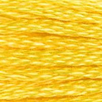 6 Strand Cotton: 900 - 999