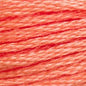 DMC Thread - 3340