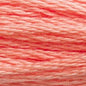 DMC Thread - 3341