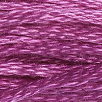 DMC Thread - 3607