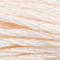 DMC Thread - 3770