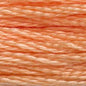 DMC Thread - 3825