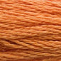 DMC Thread - 3853