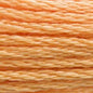 DMC Thread - 3854