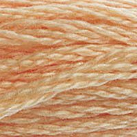 DMC Thread - 3856