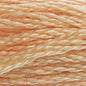 DMC Thread - 3856