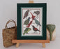Map of NZ - Endangered Birds