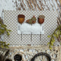 Pin Set - Acorns - MARKETPLACE PRE-ORDER 2026