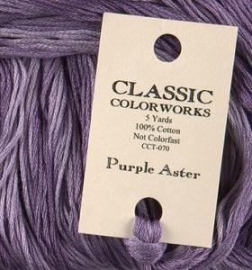Purple Aster CCT070