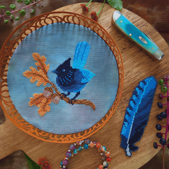 Steller's Jay - BAD Stitch