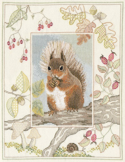 Wildlife: Red Squirrel - Cross Stitch Kit