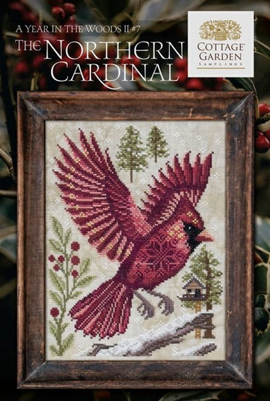 A Year In The Woods II, The Northern Cardinal