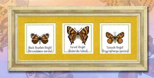NZ Butterflies - Pattern